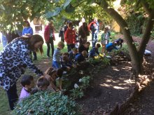 Year 3 Bulb Planting 2018