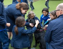 Ollie the 'Therapy' Dog visits Prep for Neurodiversity Celebration Week 2023