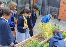 Eco-Committee looks at sustainability Eco-Committee looks at sustainability
